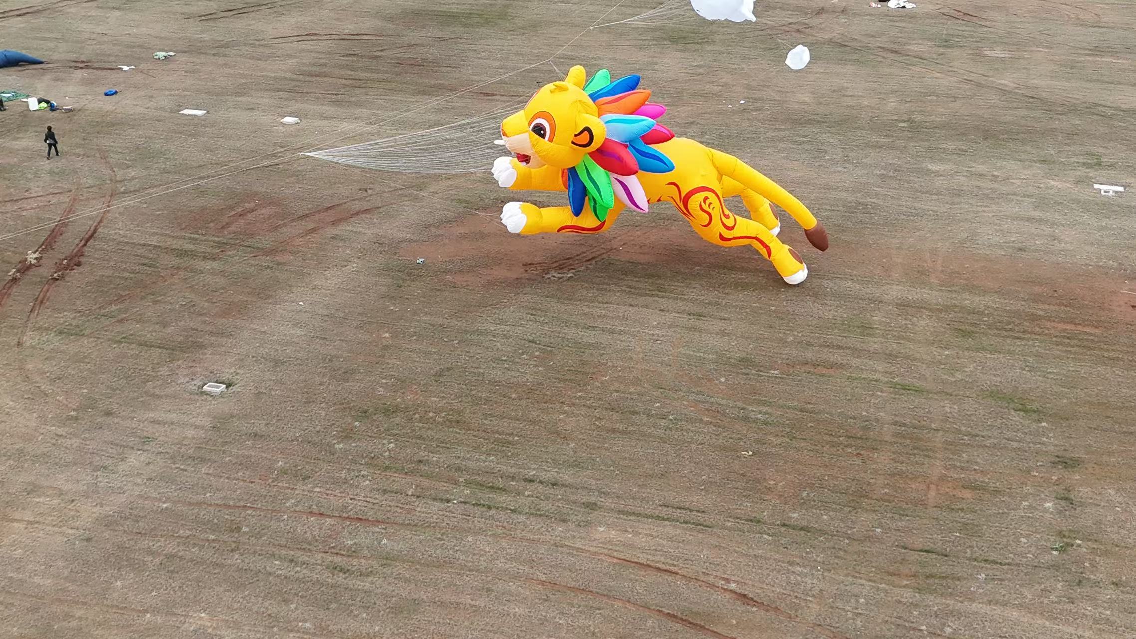 哈尔滨市品牌风筝定制风筝商业放飞 - 哪里好