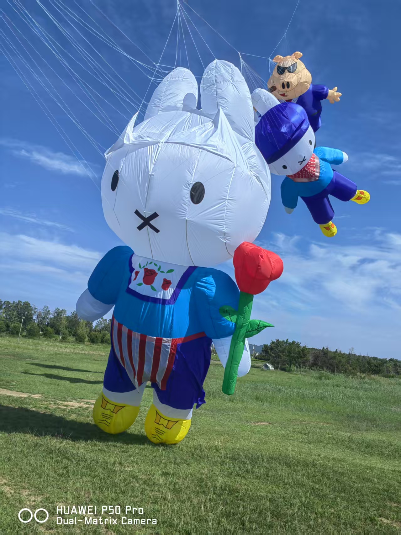 哈尔滨市儿童风筝定制风筝加工 - 排名