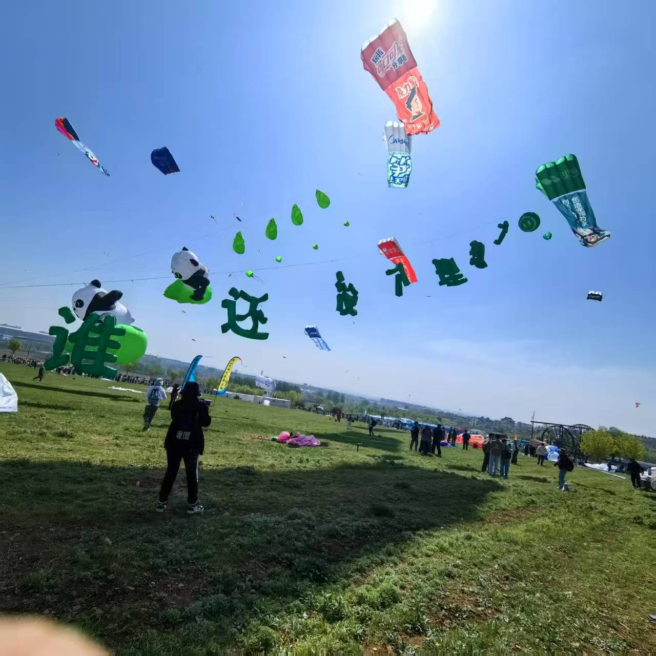 哈尔滨市风筝加工风筝定制 - 厂家